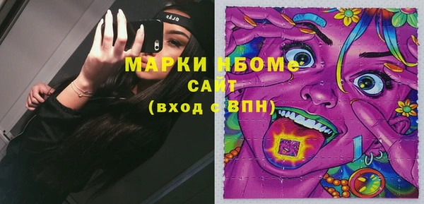 прущий лед Горняк