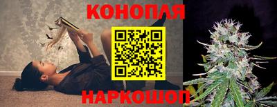 дурь Гатчина