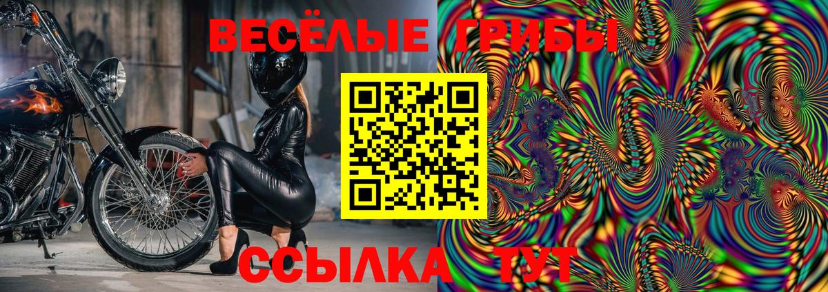 Галлюциногенные грибы прущие грибы  Обнинск  Псилоцибиновые грибы мицелий 