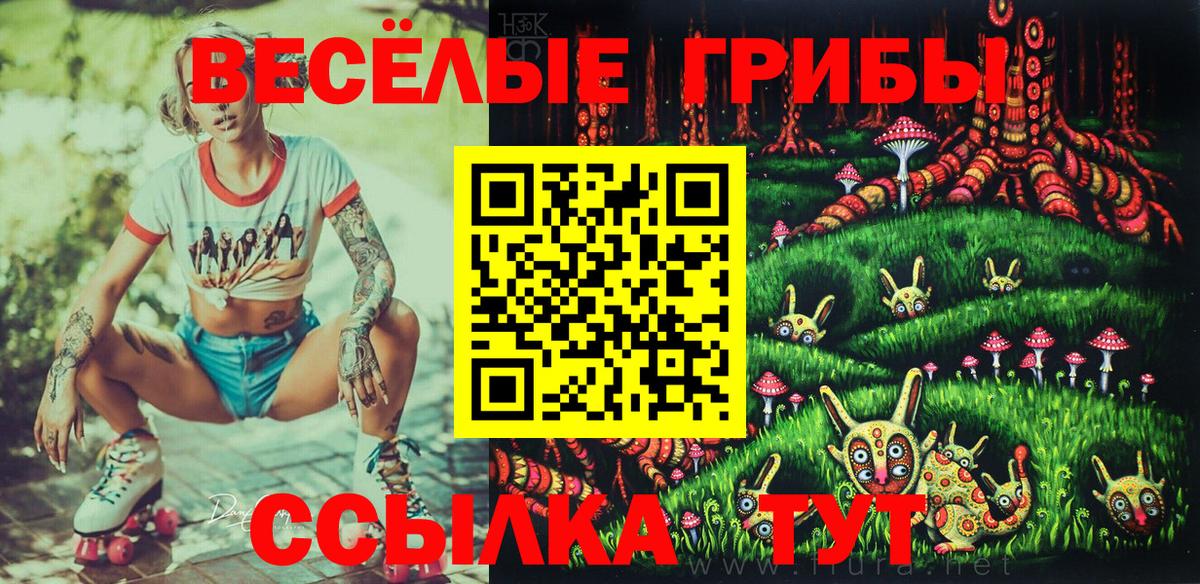 Галлюциногенные грибы мицелий Обнинск